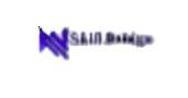 Skill Bridge